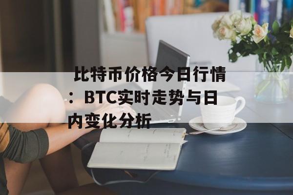  比特币价格今日行情：BTC实时走势与日内变化分析