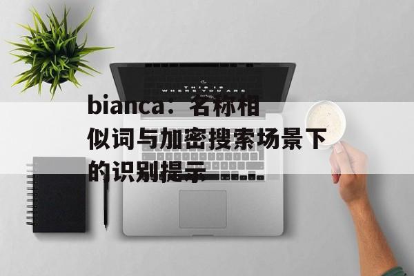 bianca：名称相似词与加密搜索场景下的识别提示